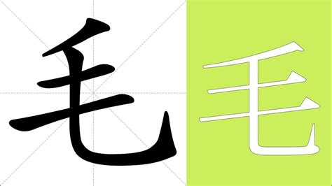 毛|毛 meaning